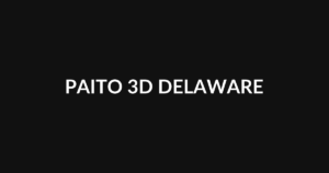 PAITO 3D DELAWARE
